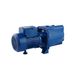 Насос поверхневий Forwater Premium JET 100L 1,1 кВт CV017372 фото 1